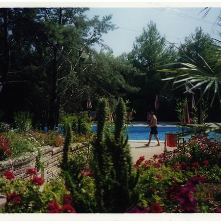 Residence Villa Agrimare Vieste Bagian luar foto